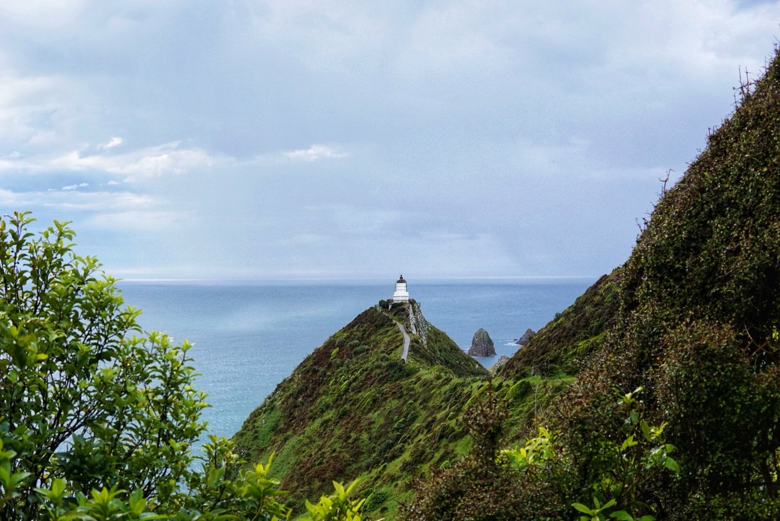 À la découverte de la région des&nbsp;Catlins