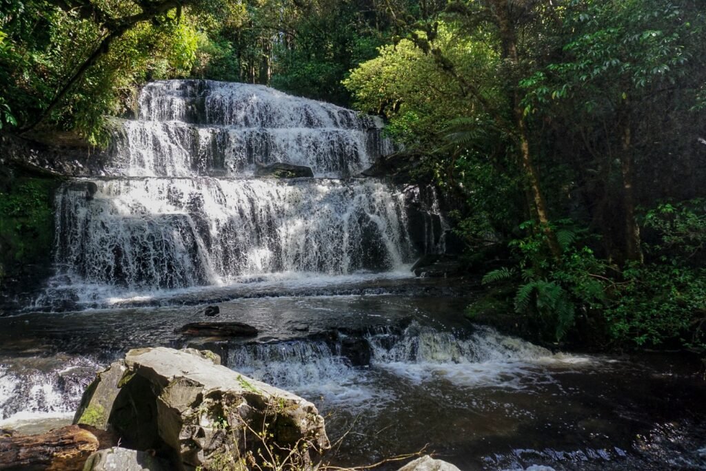 La cascade de Purakaunui et ses différents rideaux d’eau 