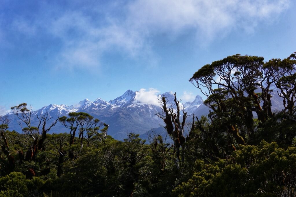 Un panorama depuis le sommet de la Key Summit