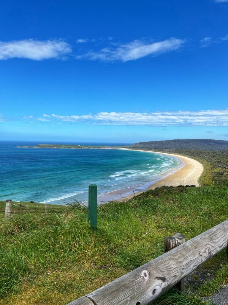 Le panorama sur Tautuku Bay depuis le Florence Hill Lookout