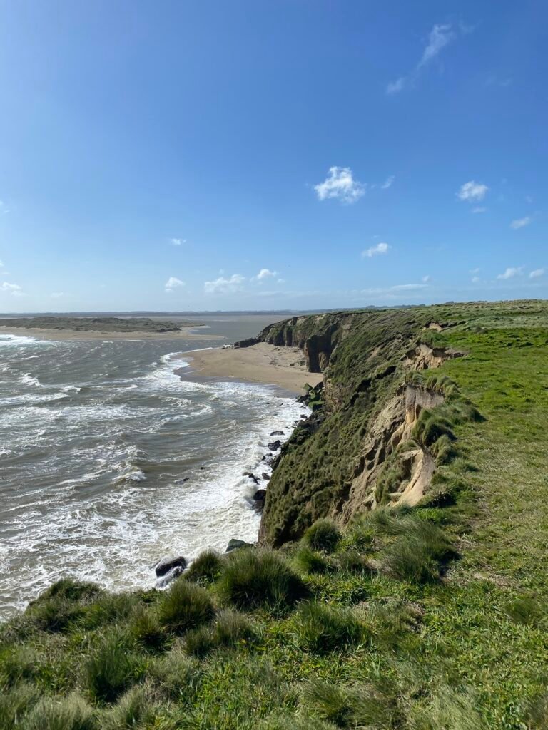 La vue sur l’estuaire de la Mataura River depuis un point de vue à Fortrose