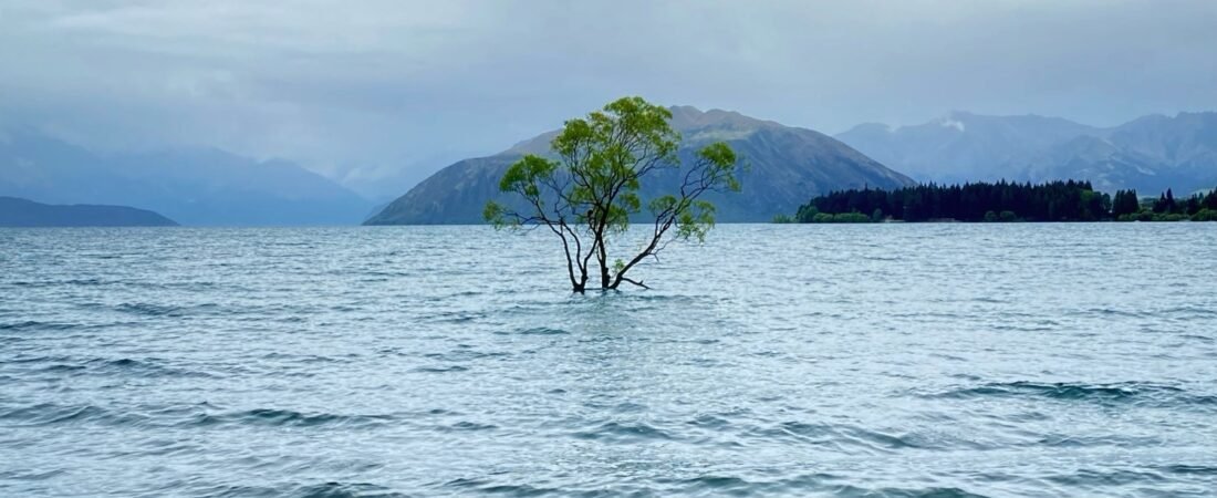 Wanaka&nbsp;: randonnée à Diamond Lake, le célèbre&nbsp;Wanaka&nbsp;Tree&nbsp;et un changement de programme inattendu