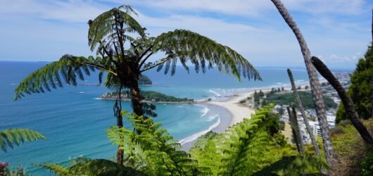 Tauranga et ses trésors naturels : entre cascades, histoire et océan