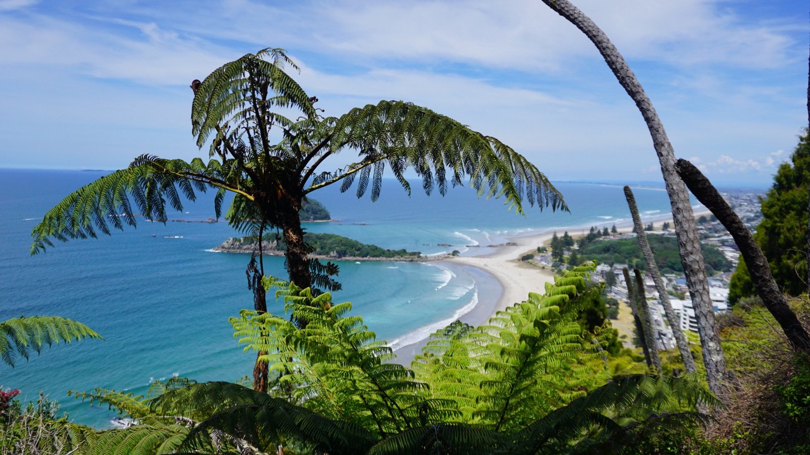 Tauranga et ses trésors naturels : entre cascades, histoire et océan